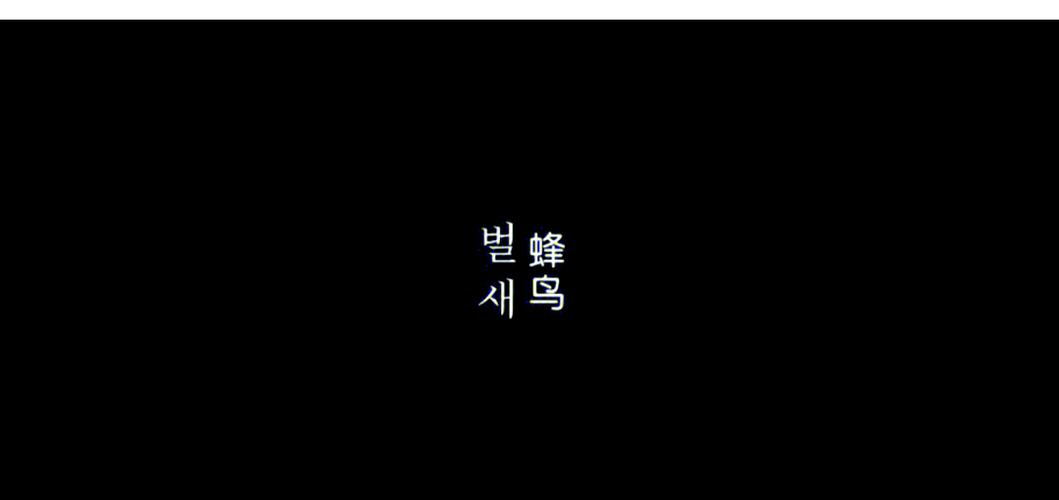 一一影院的相关介绍