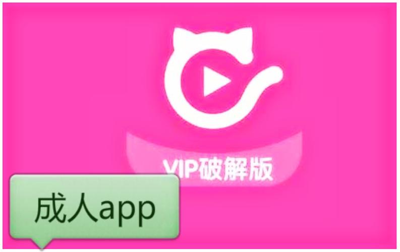 射入美女的相关介绍
