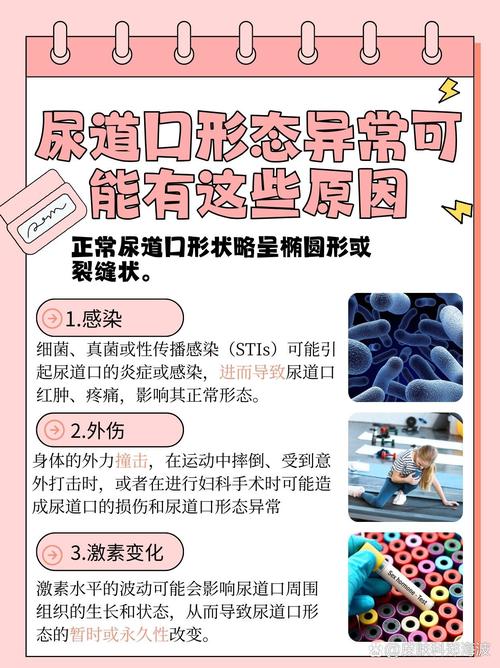 在线黄色欧美的相关介绍