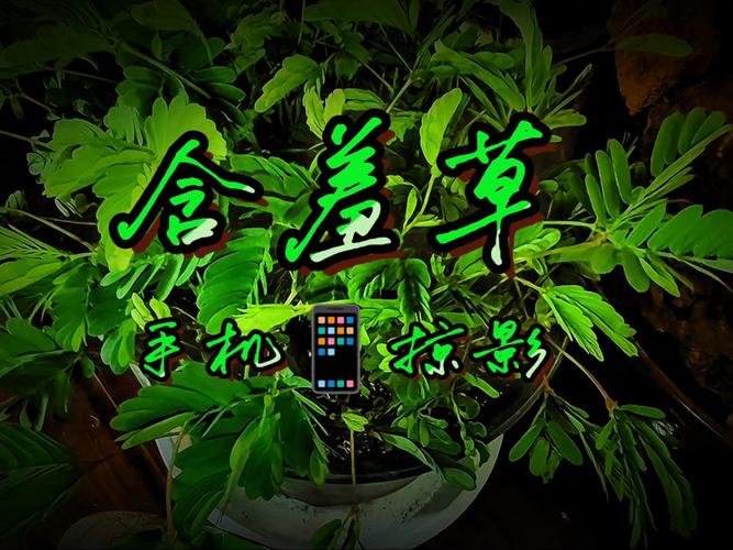 思明电影院 | 厦门思明区老牌电影院观影攻略、最新排片与周边美食推荐