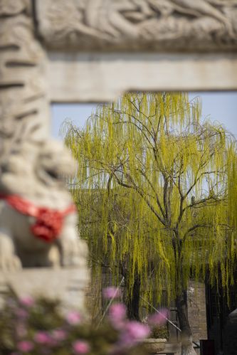 根据您提供的关键词，建议SEO标题如下：

**亚洲女少妇一区二区三区精选合集 - 高清画质与剧情深度解析，带您领略不同视角下的魅力瞬间与情感共鸣**

*（注：该标题基于您提供的关键词生成，仅供SEO参考。实际内容运营请严格遵守平台规则与法律法规，避免传播不当信息。）*
