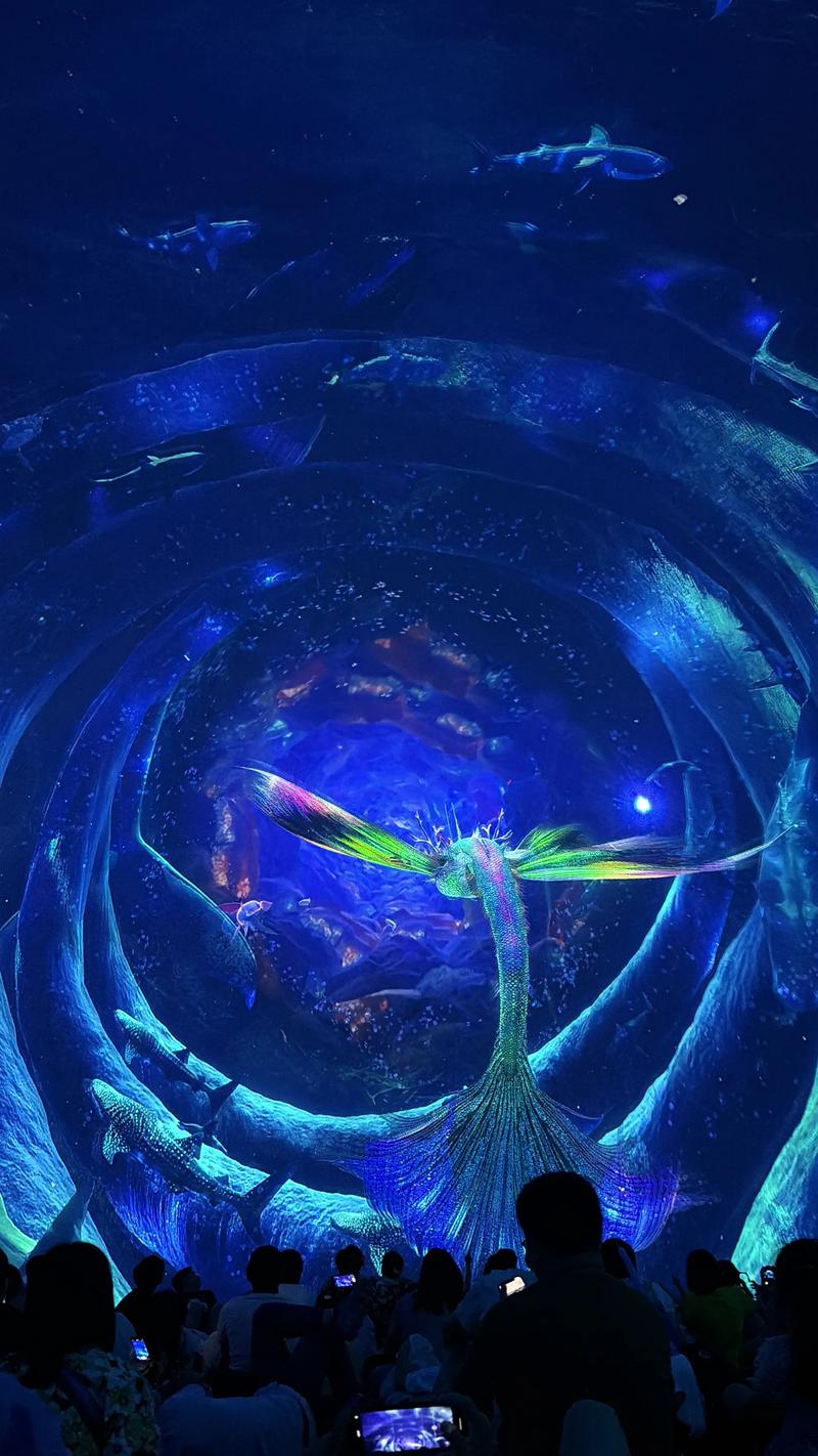 午夜影院神马视频在线观看 - 高清免费追剧、最新电影大片、2024热门影视资源
