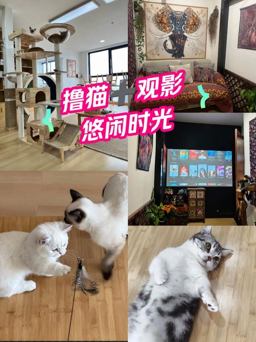 流量君视频手机影院 - 免费高清在线观看，最新热门剧集与经典电影资源一键畅享