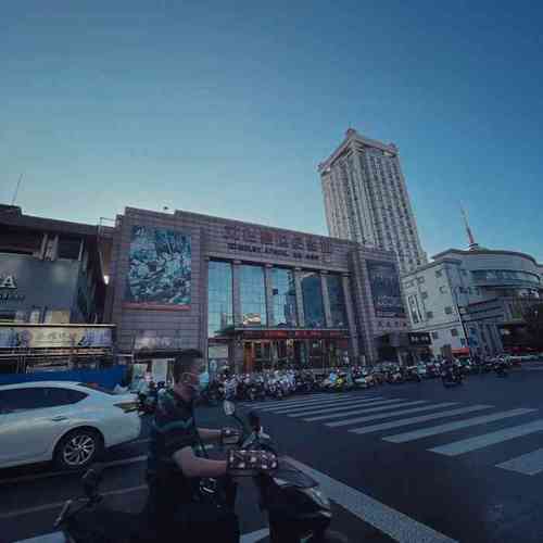 久久久精品成的相关介绍