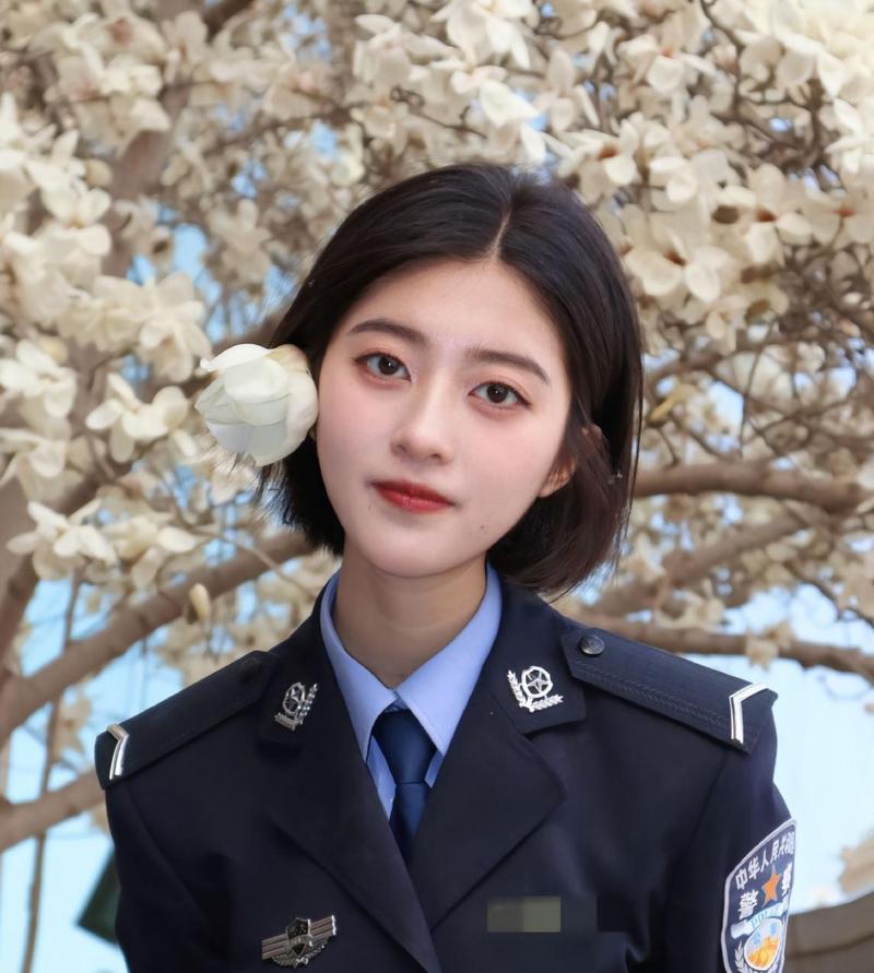 人人dvd影院的相关介绍