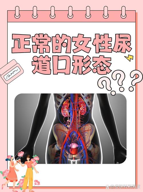 免费观看视频软件下载app | 2025最新版免费追剧神器，高清无广告畅享海量影视资源